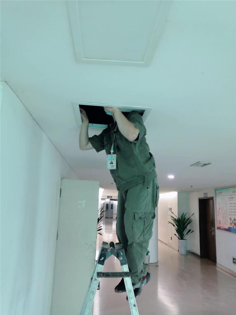 广汉工厂灭鼠服务 **咨询